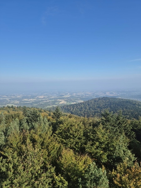 Wycieczka piesza do wieży widokowej na górze Kamionna.